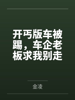 开丐版车被踢,车企老板求我别走